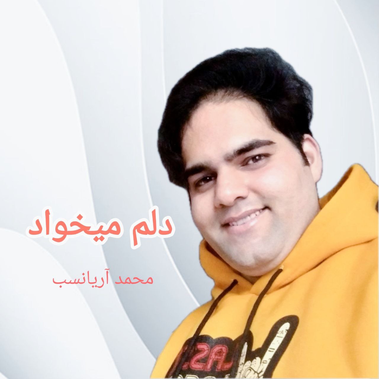 دانلود آهنگ دلم میخواد محمد آریانسب